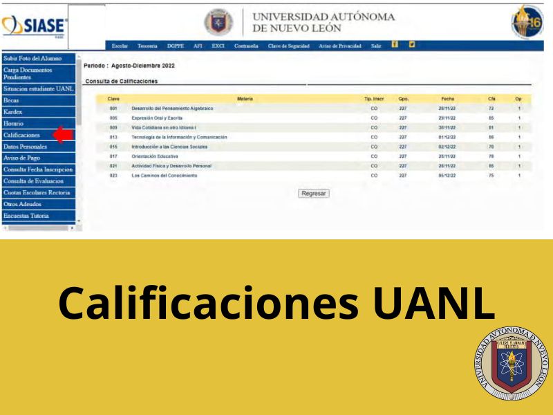 Calificaciones uanl